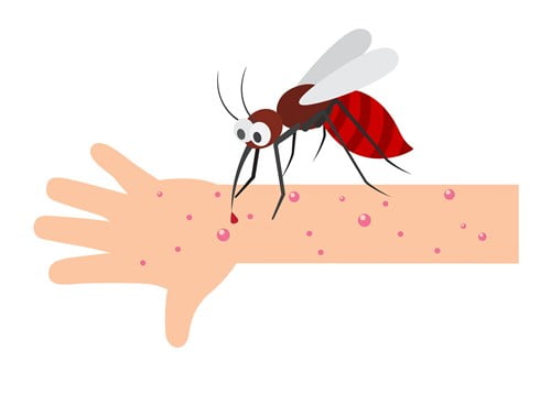 аллергия на яд насекомых