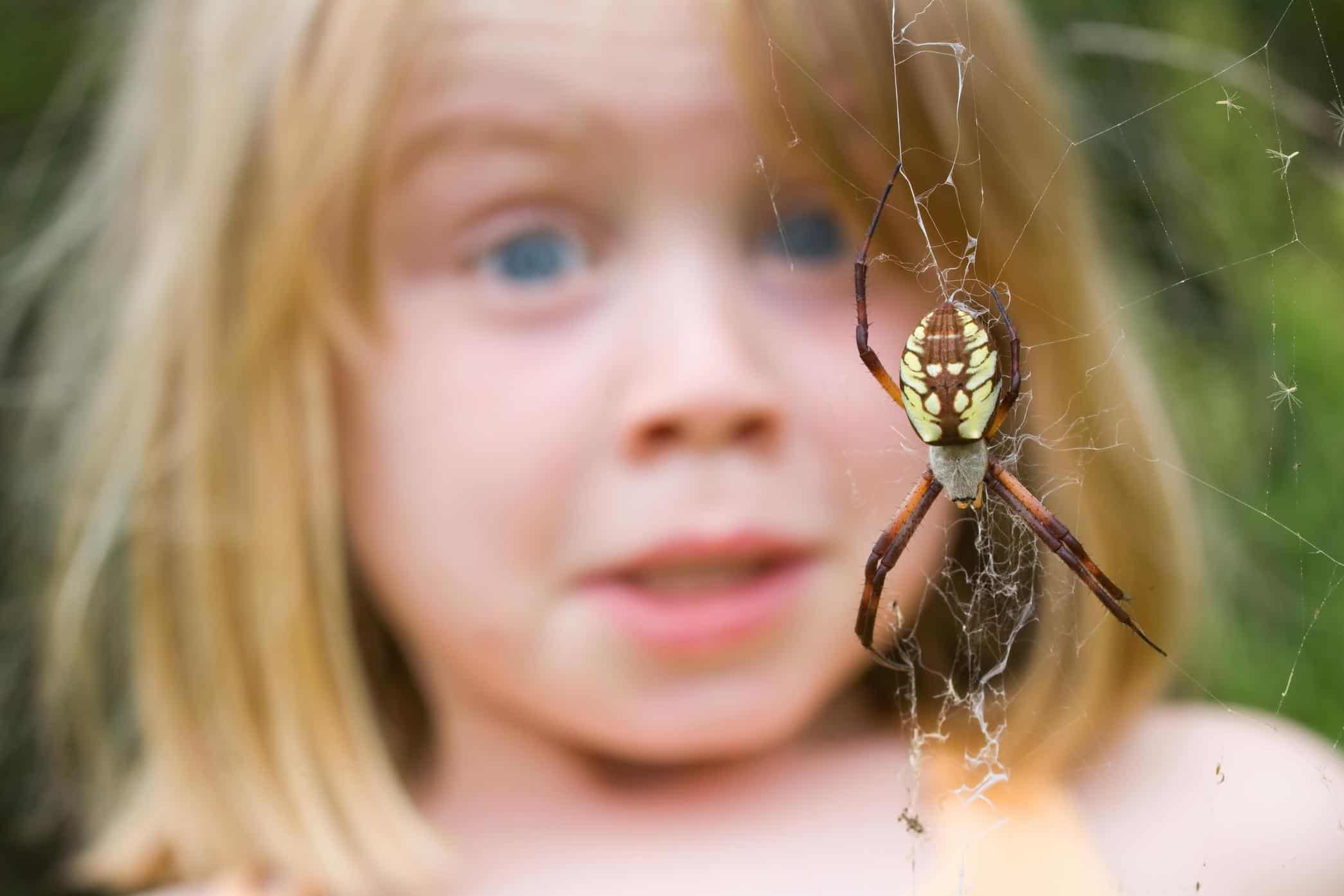 ребенок боится насекомых
