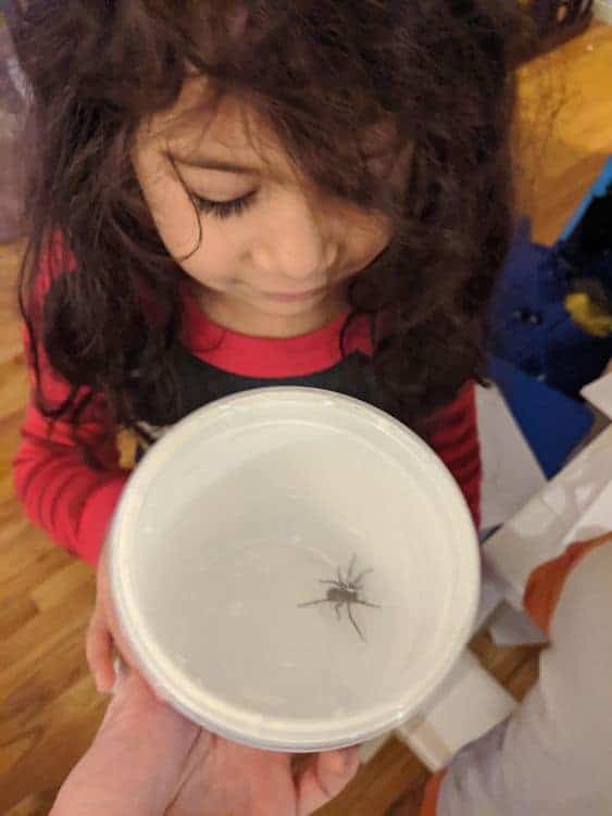 ребенок боится насекомых