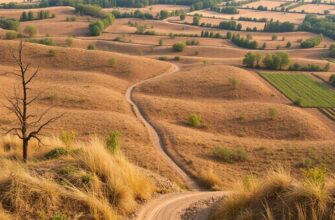 Срочный выкуп земельных участков: как продать быстро, безопасно и получить максимум в сжатые сроки