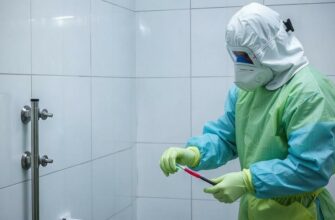 Услуги дезинфекции: что нужно знать, чтобы принять взвешенное решение